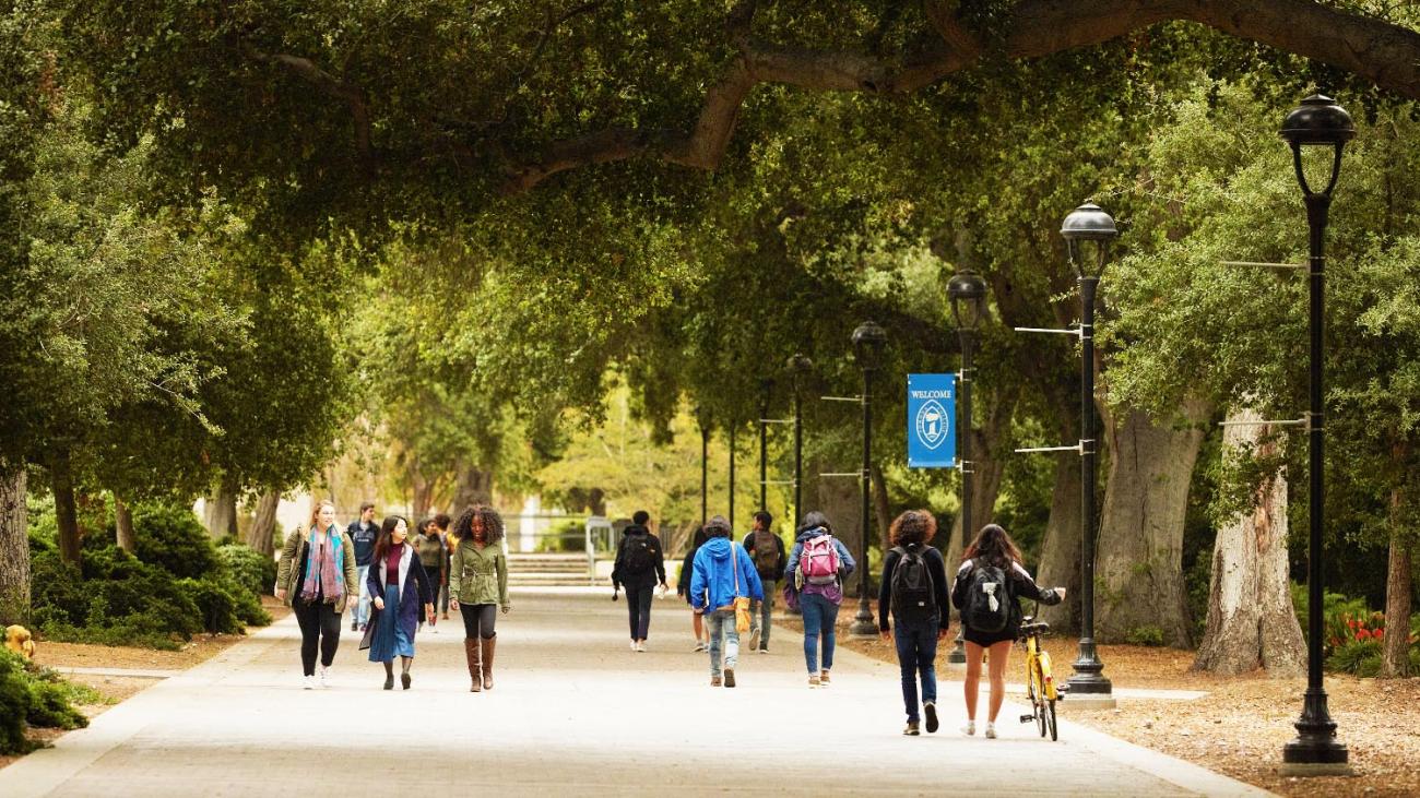 Campus scene of students walking down a path